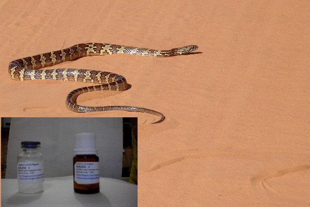 Foto 1 - Solim - 1- produto para espantar cobras